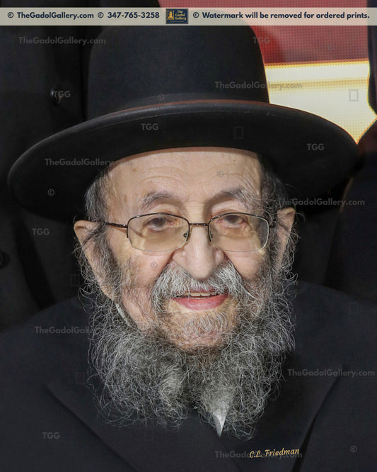 Rav Shmuel Kaminetsky -2- רב שמואל קאמענעצקי