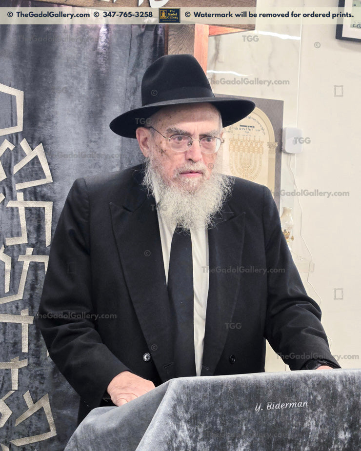 Rav Elya Kanarek - 1