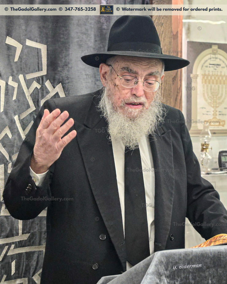 Rav Elya Kanarek - 2