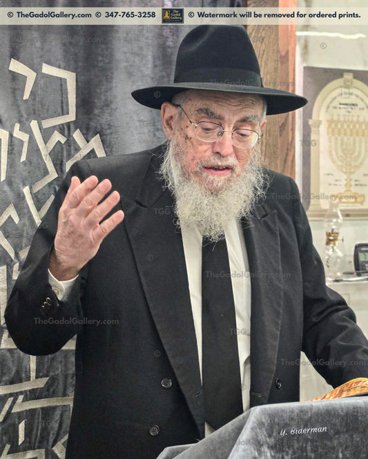 Rav Elya Kanarek - 2
