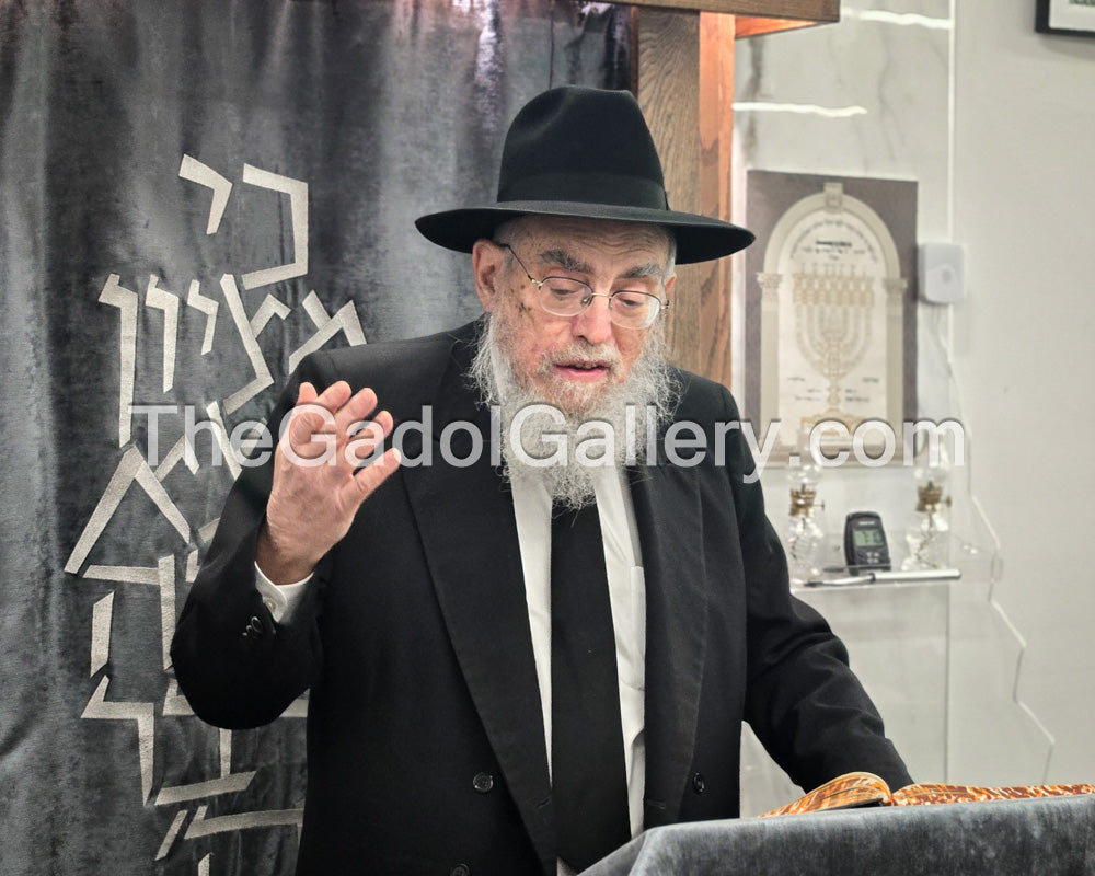 Rav Elya Kenarak