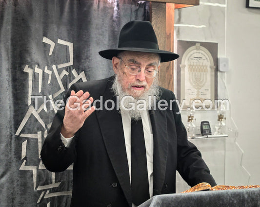 Rav Elya Kenarak - 2 Sukkah Poster