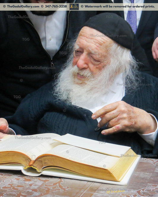 Rav Chaim Kanievsky -1- רב חיים קניבסקי