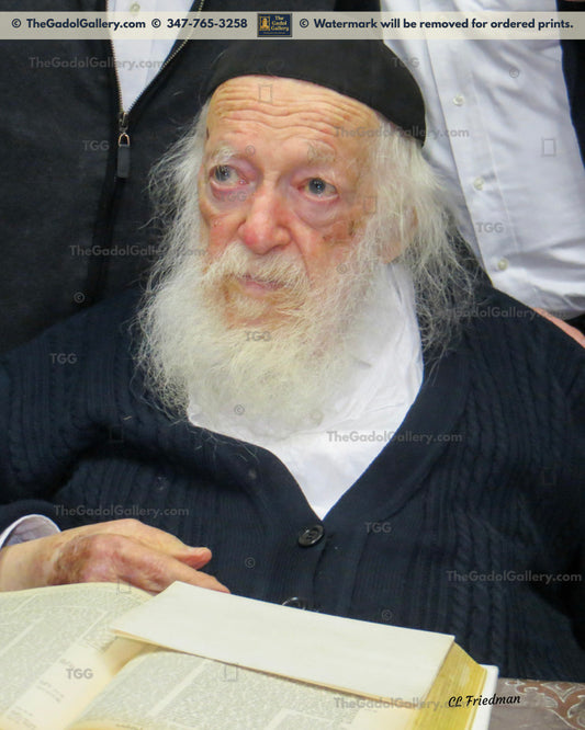 Rav Chaim Kanievsky -2- רב חיים קניבסקי