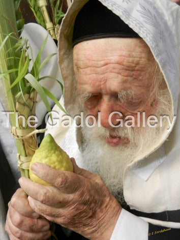 Rav Chaim Kanievsky (Lulav)