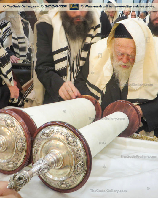 Rav Chaim Kanievsky -3- רב חיים קניבסקי