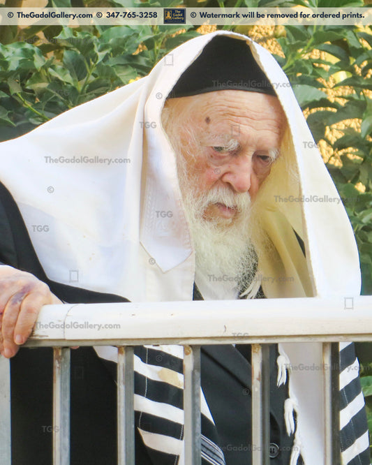 Rav Chaim Kanievsky -4- רב חיים קניבסקי