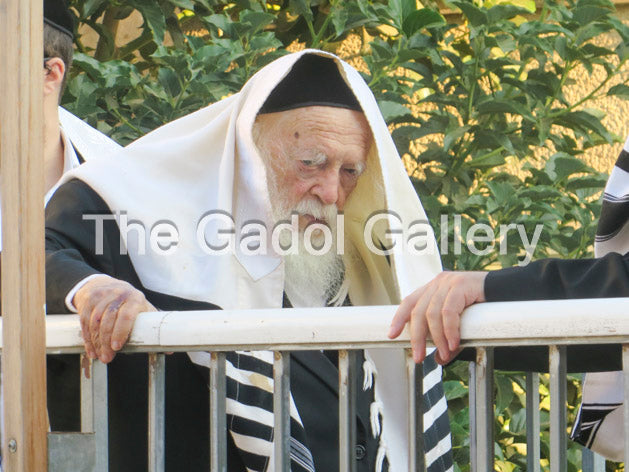 Rav Chaim Kanievsky