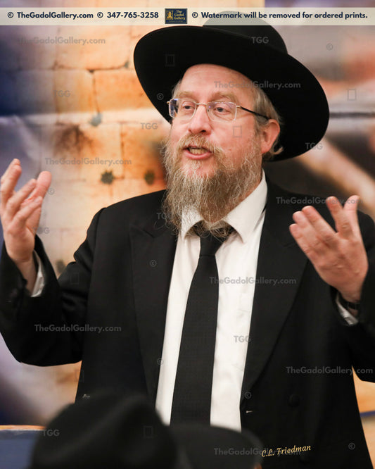 Rav Nissan Kaplan - 3 - רב ניסן שלמה קפלן