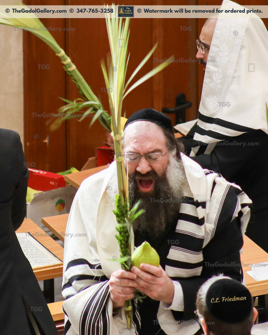 Rav Tzvi Kaplan -2- רב צבי קפלן