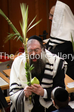 Rav Tzvi Kaplan -2- רב צבי קפלן Sukkah Poster