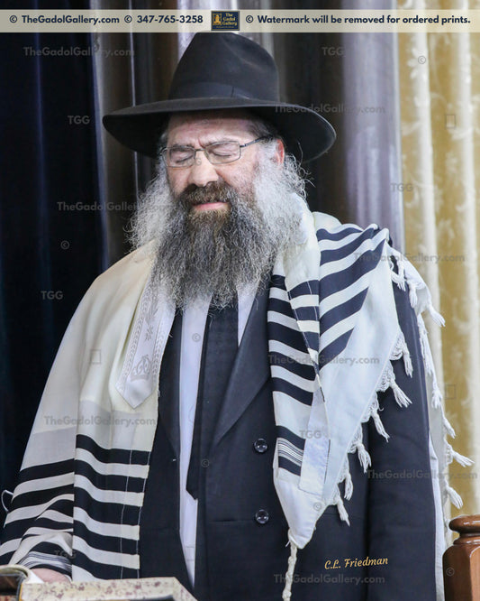 Rav Tzvi Kaplan -3- רב צבי קפלן
