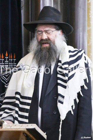 Rav Tzvi Kaplan -3- ×¨×‘ ×¦×‘×™ ×§×¤×œ×Ÿ Sukkah Poster
