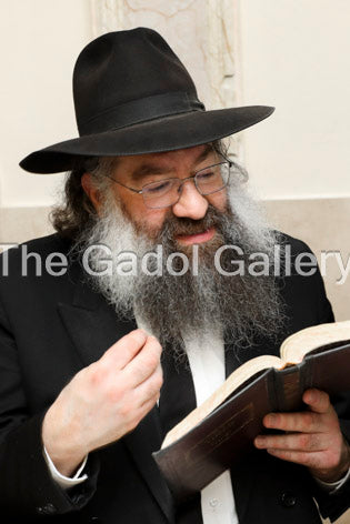 Rav Tzvi Kaplan -6- ×¨×‘ ×¦×‘×™ ×§×¤×œ×Ÿ Sukkah Poster