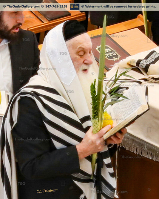 Rav Yerucham Kaplan -2- רב ירוחם קפלן