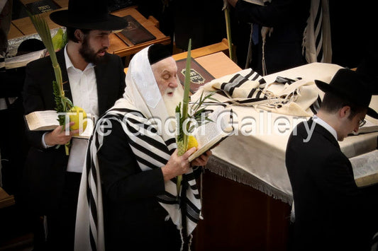 Rav Yerucham Kaplan -2- רב ירוחם קפלן Sukkah Poster
