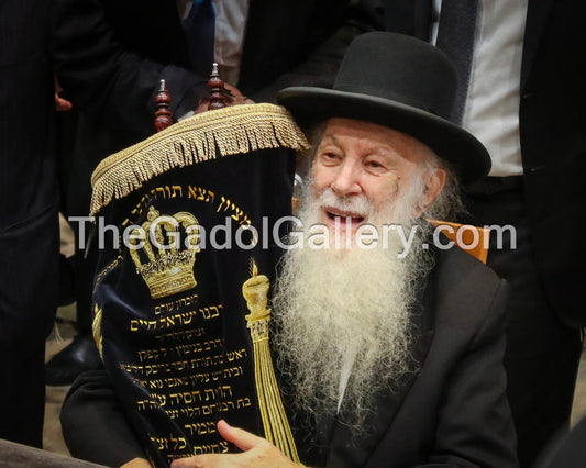 Rav Yerucham Kaplan -4- ×¨×‘ ×™×¨×•×—× ×§×¤×œ×Ÿ Sukkah Poster