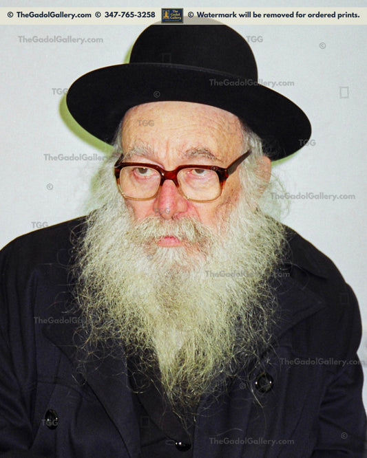 Rav Nissim Karelitz - 1