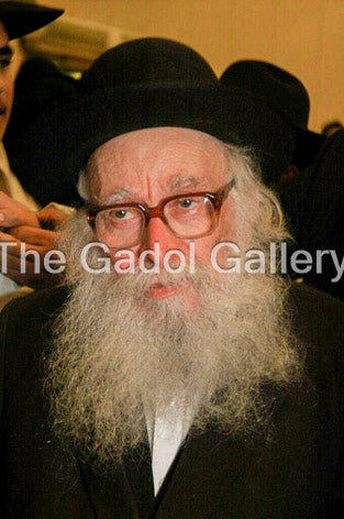 Rav Nissim Karelitz - 2 Sukkah Poster