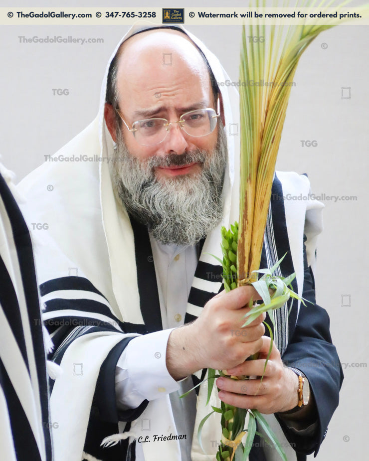 Rav Yakov Moshe Katz -2- רב יעקב משה כץ