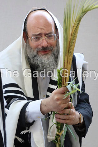 Rav Yakov Moshe Katz -4- ×¨×‘ ×™×¢×§×‘ ×ž×©×” ×›×¥ Sukkah Poster