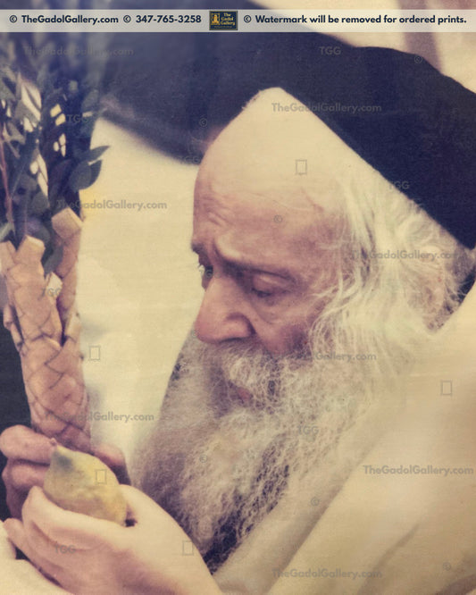 The Klausenburger Rebbe -1- האדמו"ר מקלויזנבורג