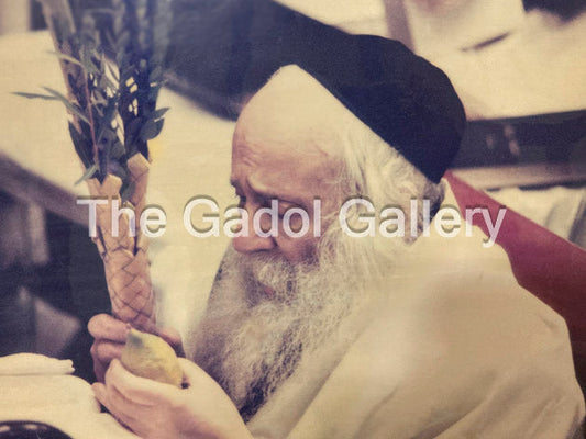 The Klausenburger Rebbe -1- האדמו"ר מקלויזנבורג Sukkah Poster