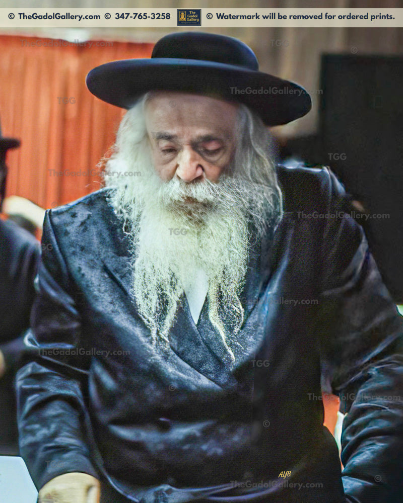 The Klausenburger Rebbe -2- האדמו"ר מקלויזנבורג