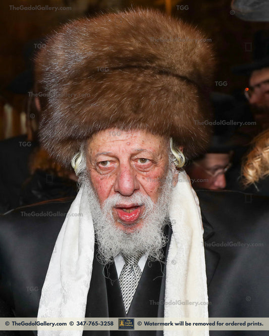 The Kopyczynitzer Rebbe-2- האדמו"ר מקופיטשניץ
