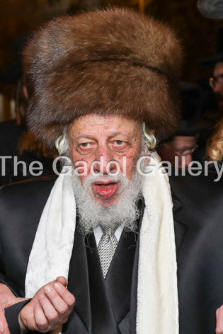The Kopyczynitzer Rebbe-2- ×”××“×ž×•"×¨ ×ž×§×•×¤×™×˜×©Ã— ×™×¥ Sukkah Poster