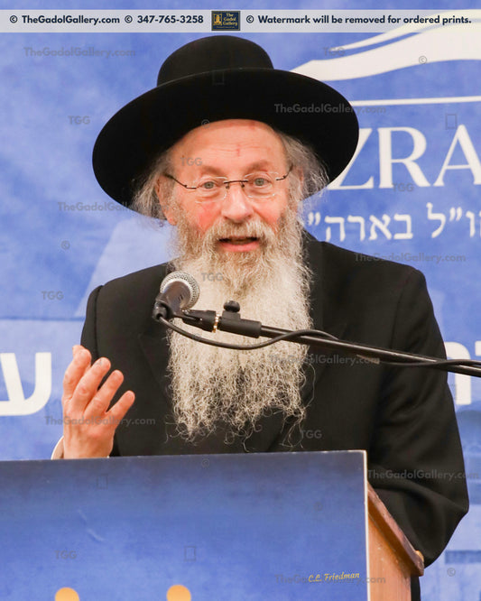 Rav Malkiel Kotler -3- רב מלכיאל קוטלר