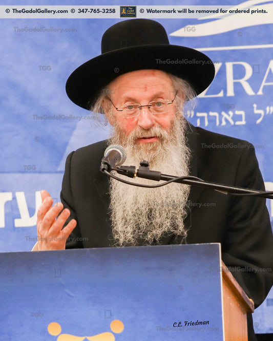Rav Malkiel Kotler -4- רב מלכיאל קוטלר
