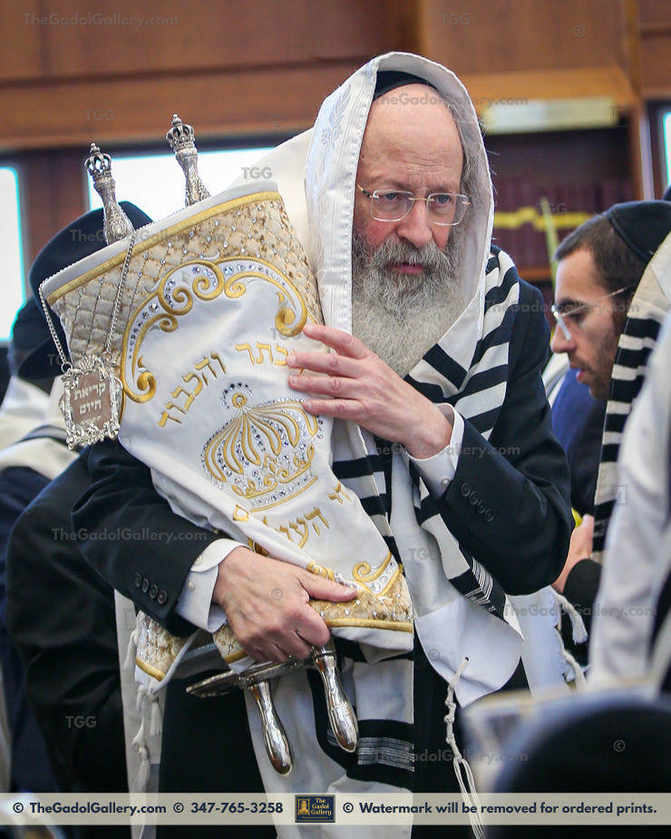 Rav Malkiel Kotler -8- רב מלכיאל קוטלר