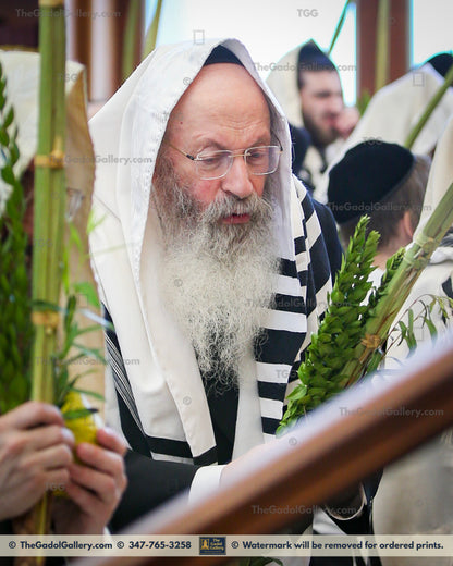 Rav Malkiel Kotler -Lulav- רב מלכיאל קוטלר