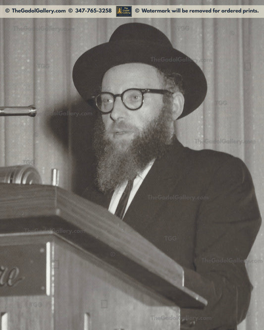 Rav Shneur Kotler - רב שניאור קוטלר
