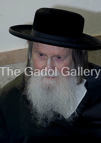 Rav Zundel Kroizer Sukkah Poster