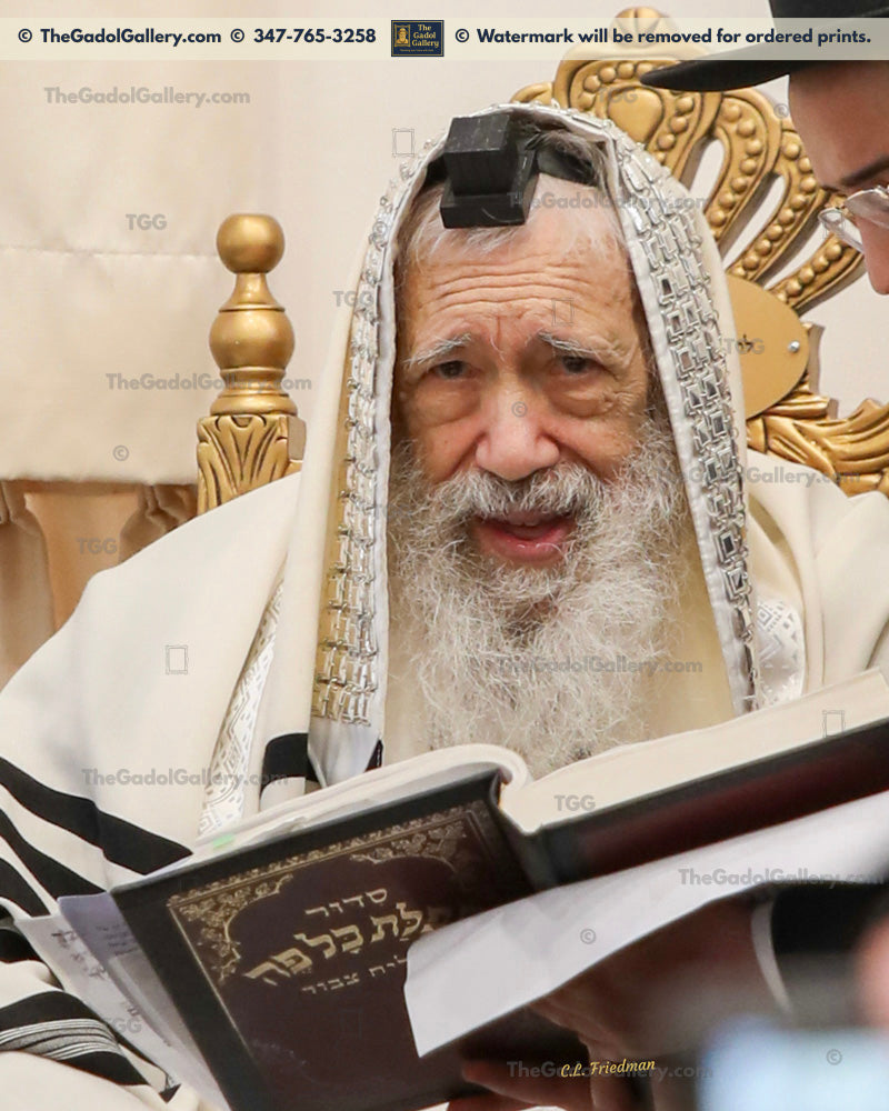 Rav Tzvi Kushelevsky -1- רב צבי קושלבסקי