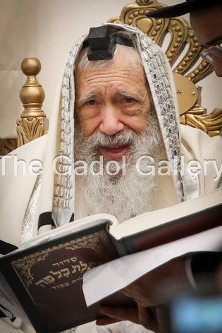 Rav Tzvi Kushelevsky -1- רב צבי קושלבסקי Sukkah Poster