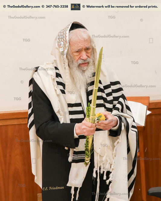 Rav Tzvi Kushelevsky -Lulav- רב צבי קושלבסקי
