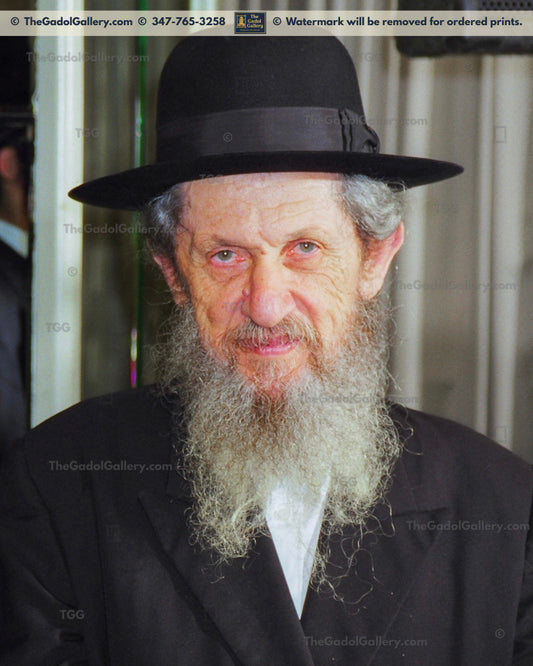 Rav Dov Landau -2- רב דוב לנדאו