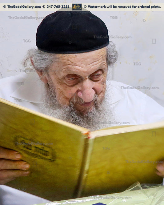 Rav Dov Landau 1 - רב דוב לנדאו