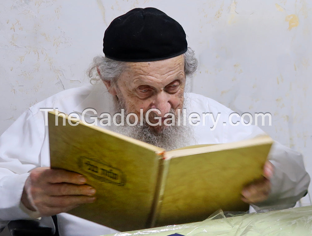 Rav Dov Landau 1 - רב דוב לנדאו