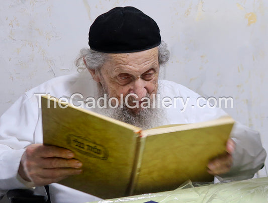Rav Dov Landau 1 - רב דוב לנדאו