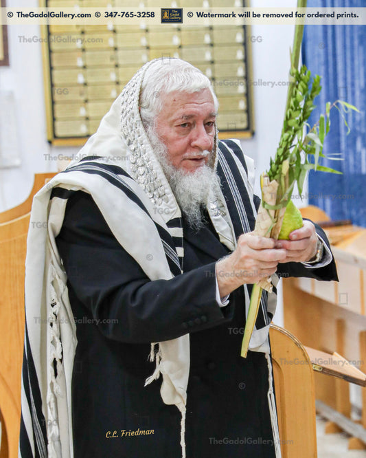 Rav Zev Leff - 1