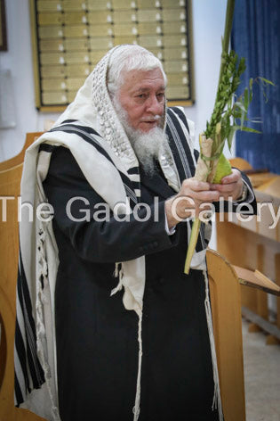 Rav Zev Leff - 1 Sukkah Poster
