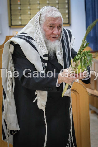 Rav Zev Leff - 2 Sukkah Poster