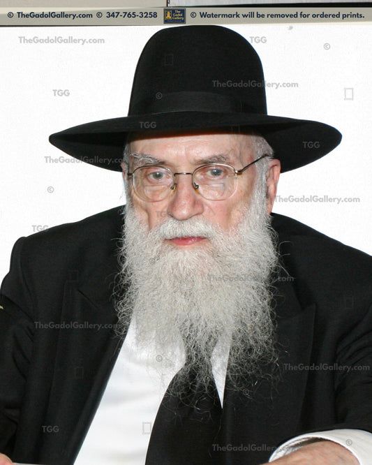 Rav Avrohom Chaim Levin 1