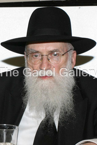 Rav Avrohom Chaim Levin Sukkah Poster