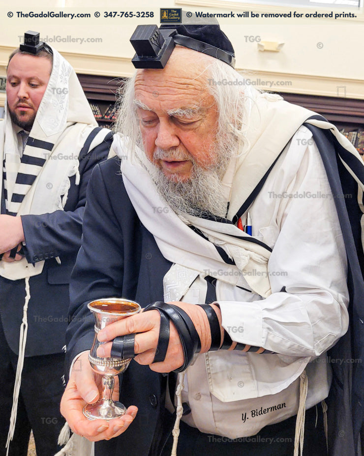 Rav Eliyahu (Elya) Levin