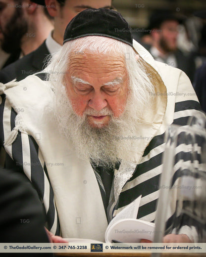 Rav Eliyahu (Elya) Levin -2